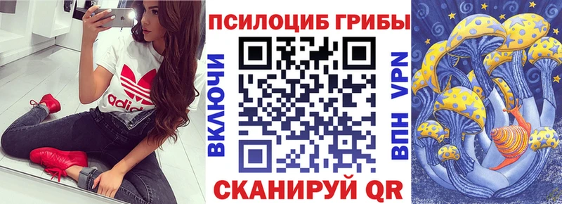 наркошоп  Серпухов  Псилоцибиновые грибы Cubensis 